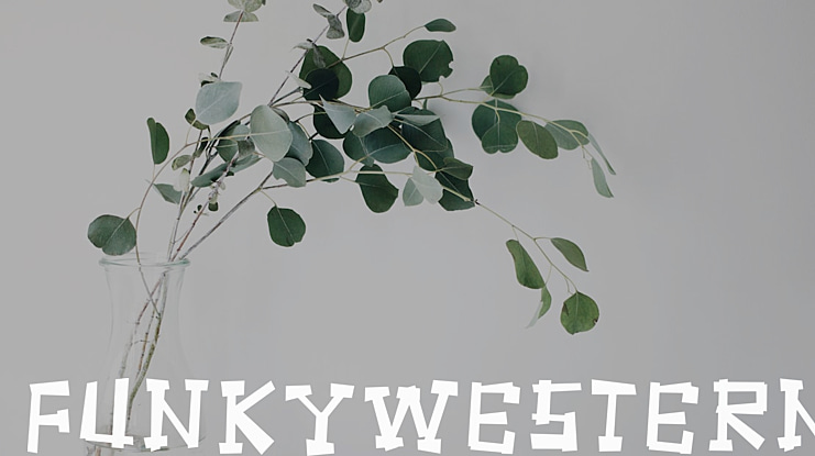 FunkyWestern Font Family