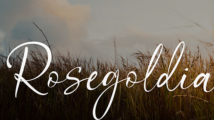 Rosegoldia Font