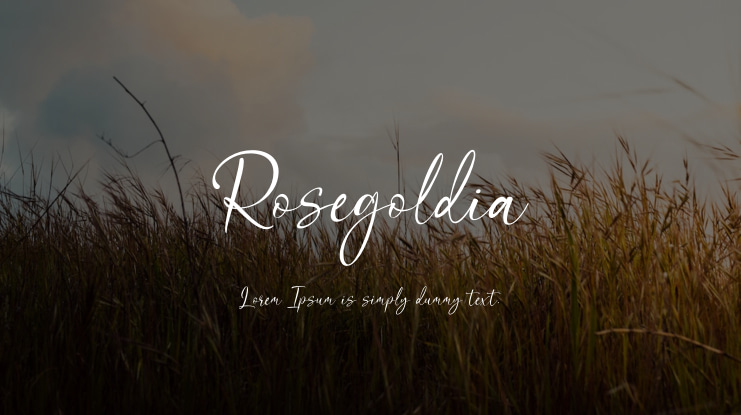 Rosegoldia Font