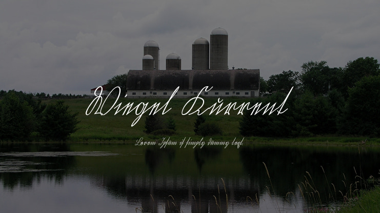 Wiegel Kurrent Font Family