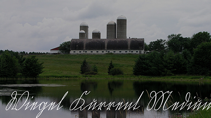 Wiegel Kurrent Font Family