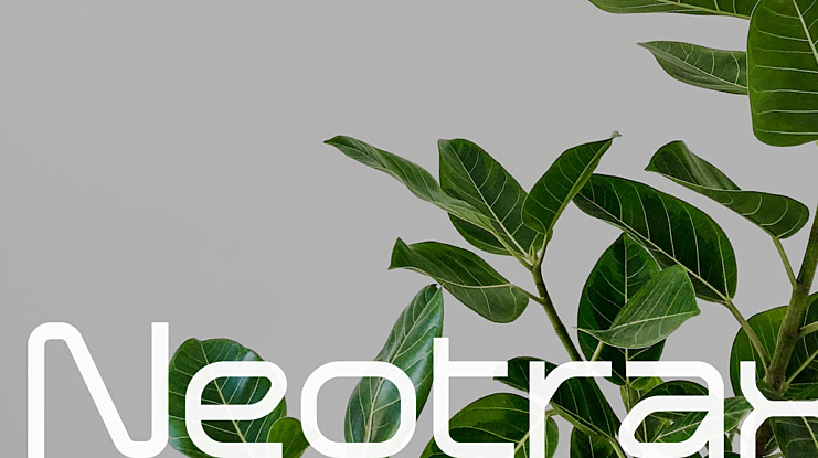 Neotrax Font