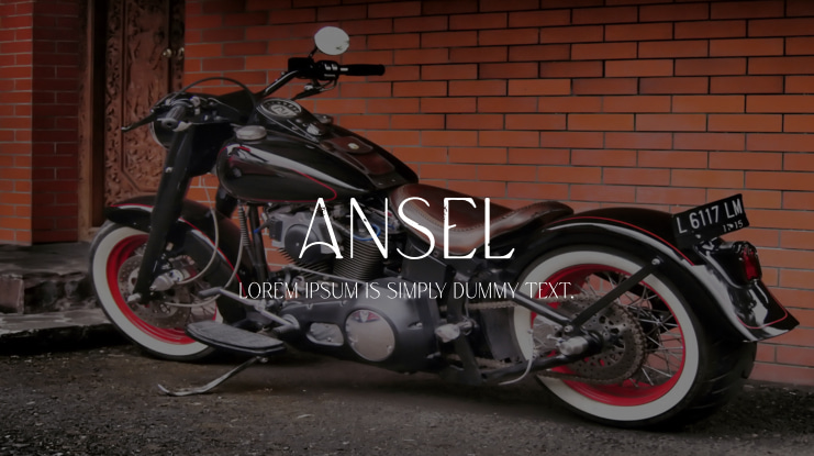 Ansel Font