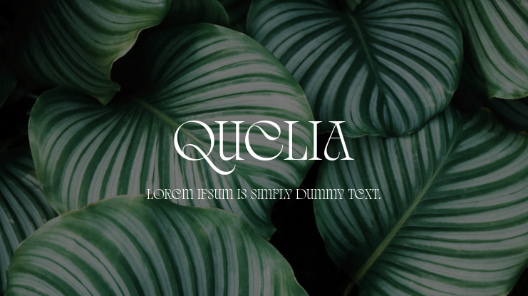 Quelia Font