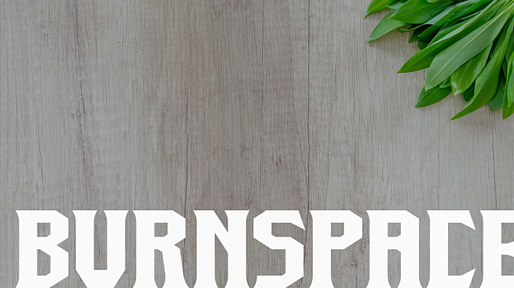 Burnspace Font