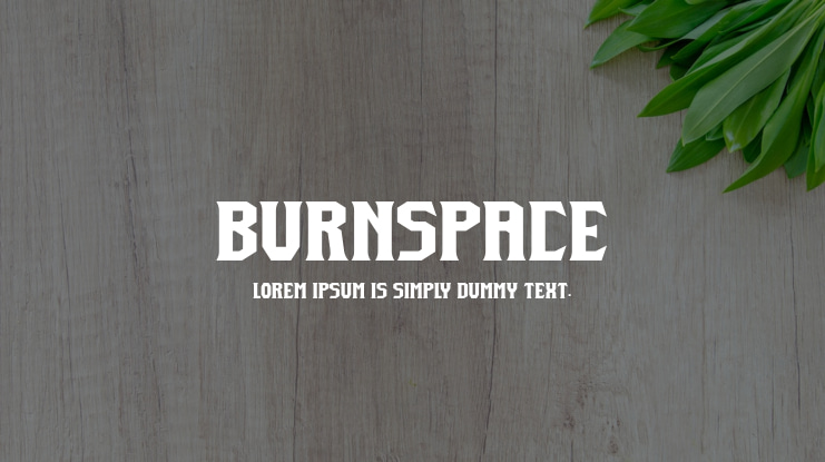 Burnspace Font