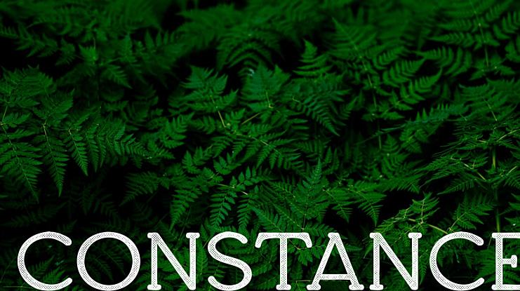 Constance Font