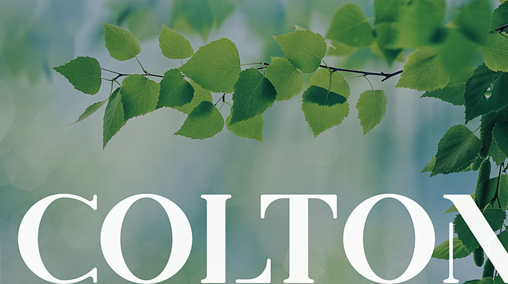 Colton Font