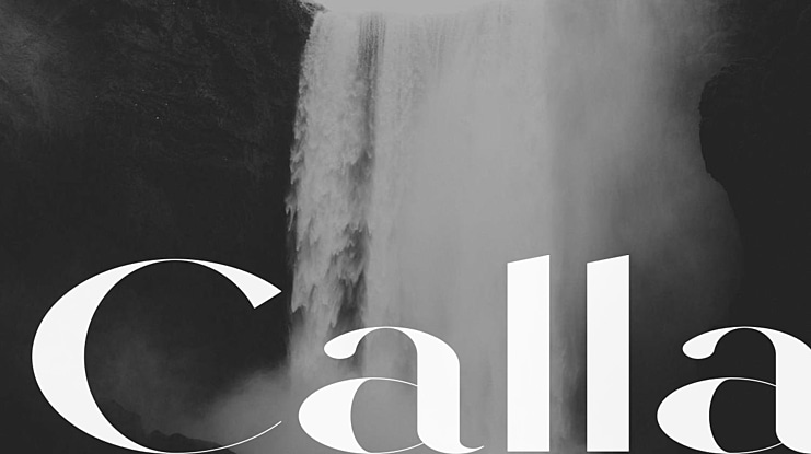 Calla Font