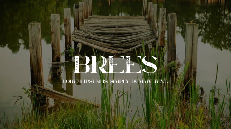 Brees Font
