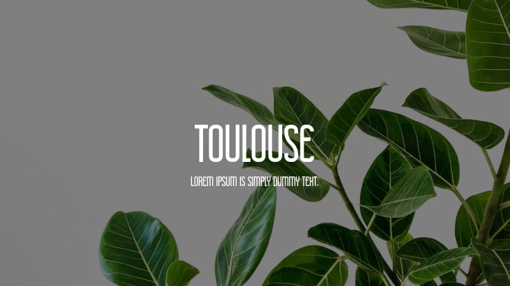Toulouse Font