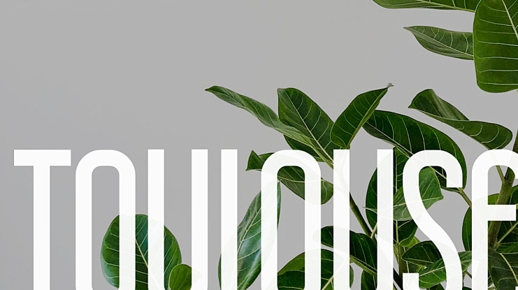 Toulouse Font