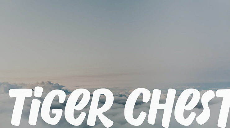 Tiger Chest Font
