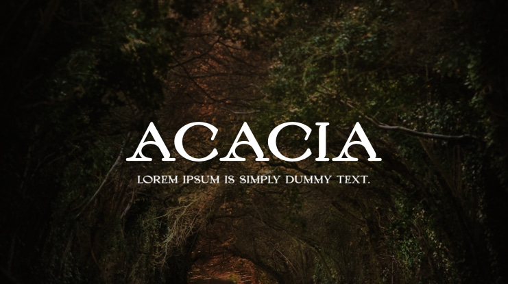 Acacia Font