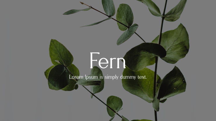 Fern Font