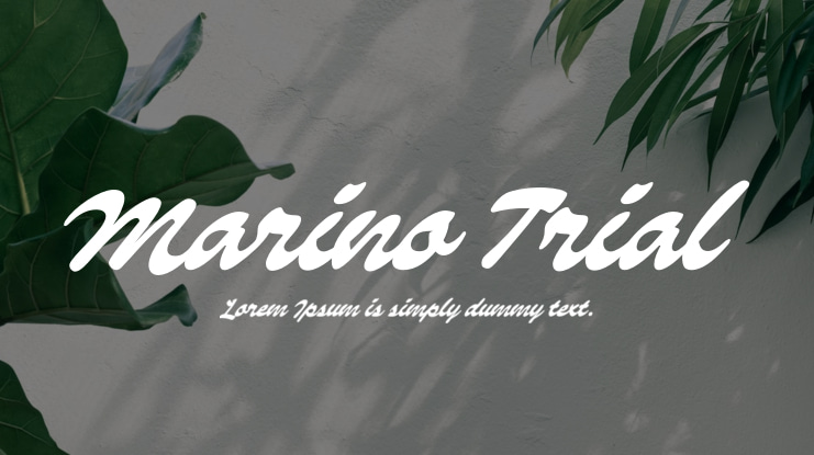 Marino Trial Font
