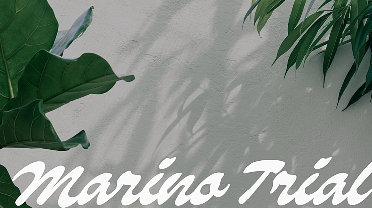 Marino Trial Font