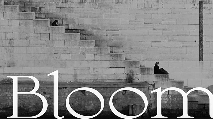 Bloom Font