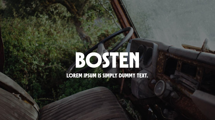 Bosten Font