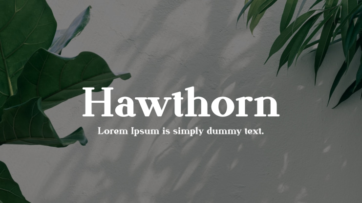 Hawthorn Font