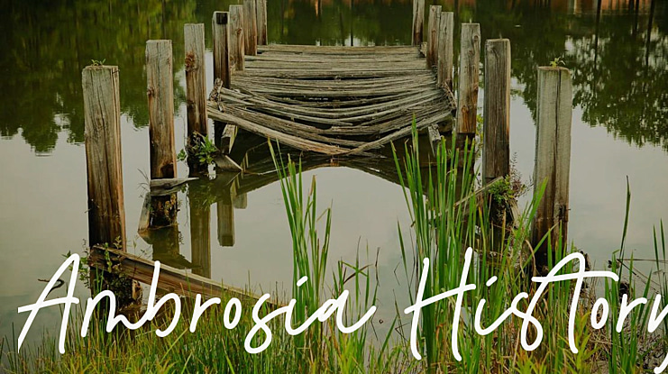 Ambrosia History Font