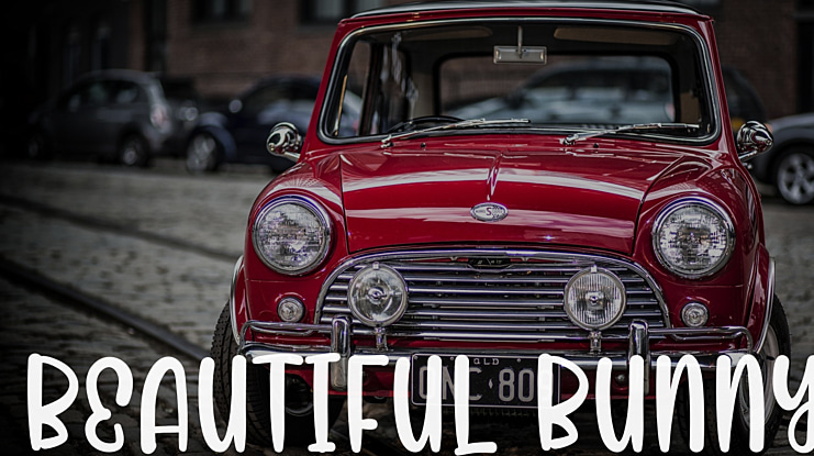 Beautiful Bunny Font