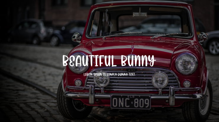 Beautiful Bunny Font