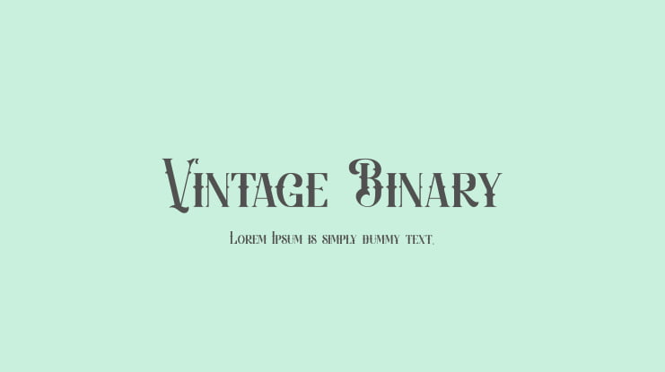Vintage Binary Font Family