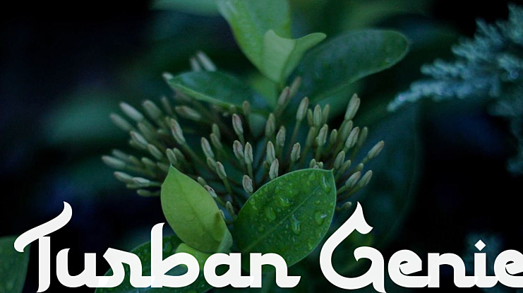 Turban Genie Font