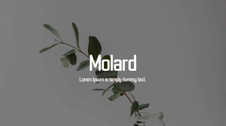 Molard Font Family