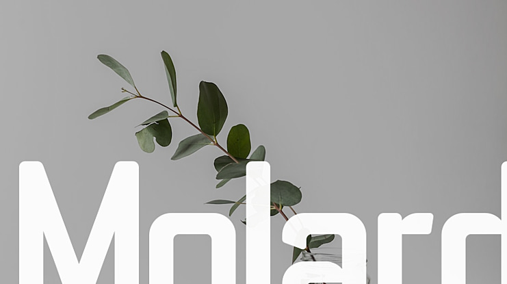 Molard Font Family