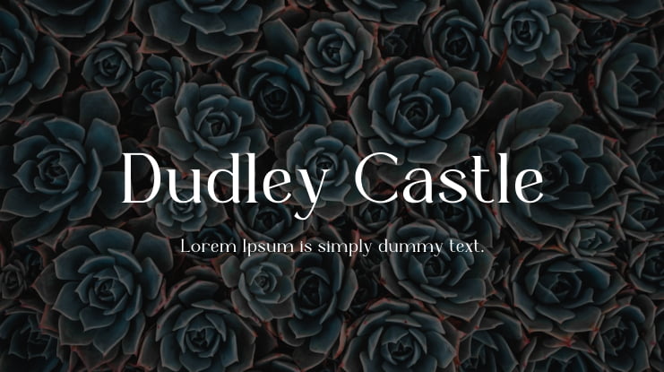 Dudley Castle Font