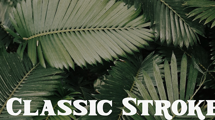 Classic Stroke Font Family