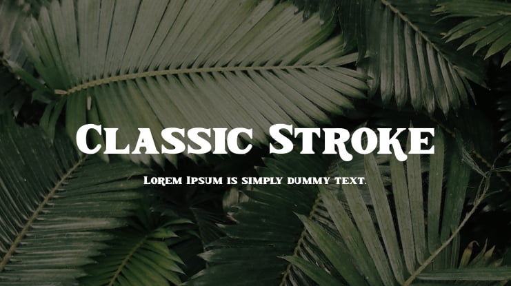 Classic Stroke Font Family