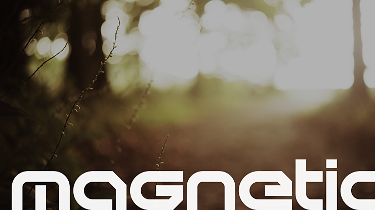 Magnetic Font Family