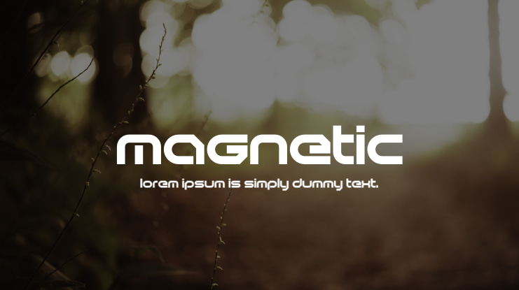 Magnetic Font Family
