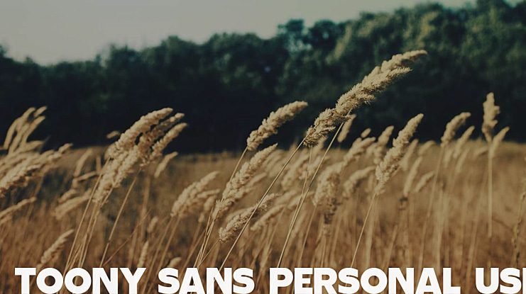 Toony Sans PERSONAL USE Font Family