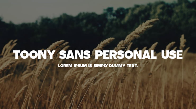 Toony Sans PERSONAL USE Font Family