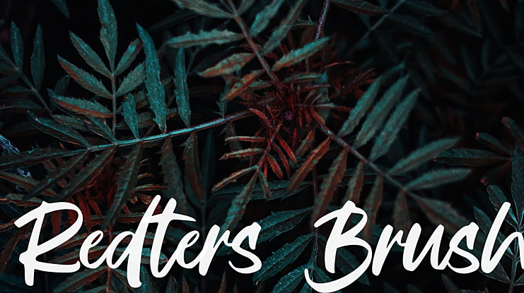 Redters Brush Font
