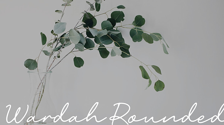 Wardah Rounded Font