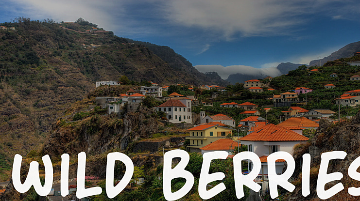Wild Berries Font