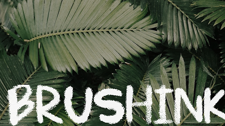 Brushink Font