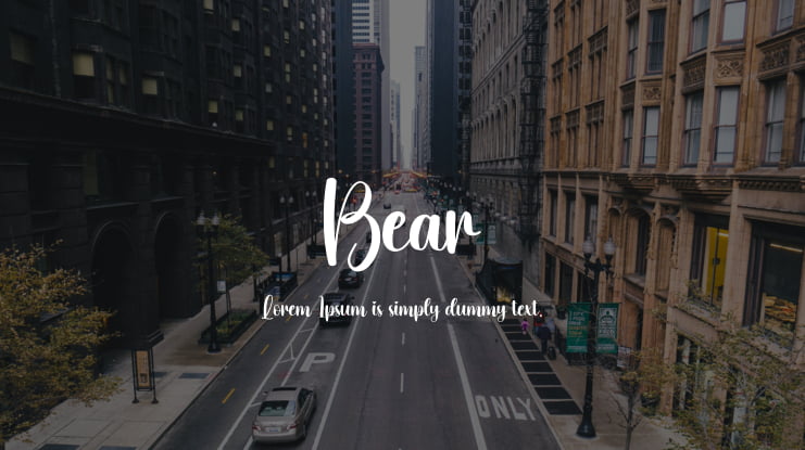Bear Font