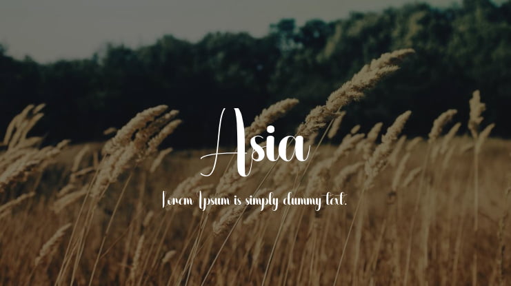 Asia Font