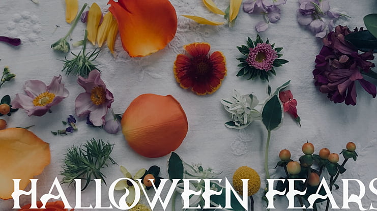 Halloween Fears Font Family