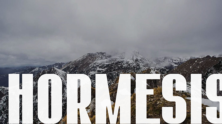 HORMESIS Font
