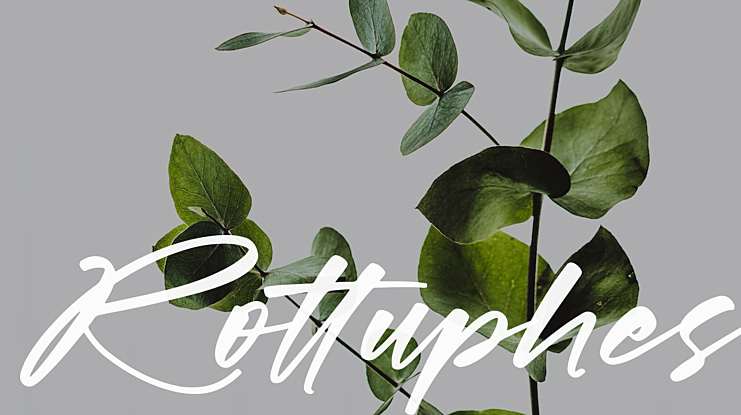Rottuphes Font