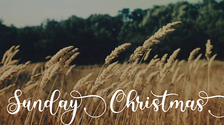 Sunday Christmas Font