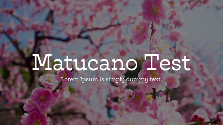 Matucano Test Font Family