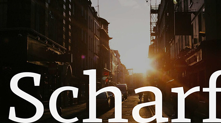 Scharf Font Family